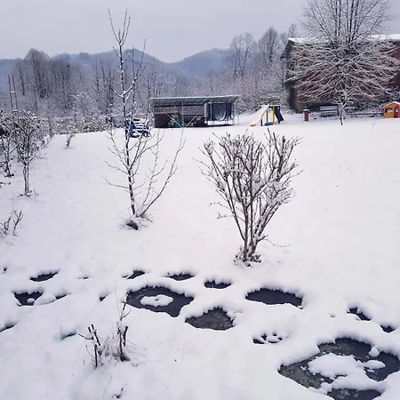 Pensiune за гости живел